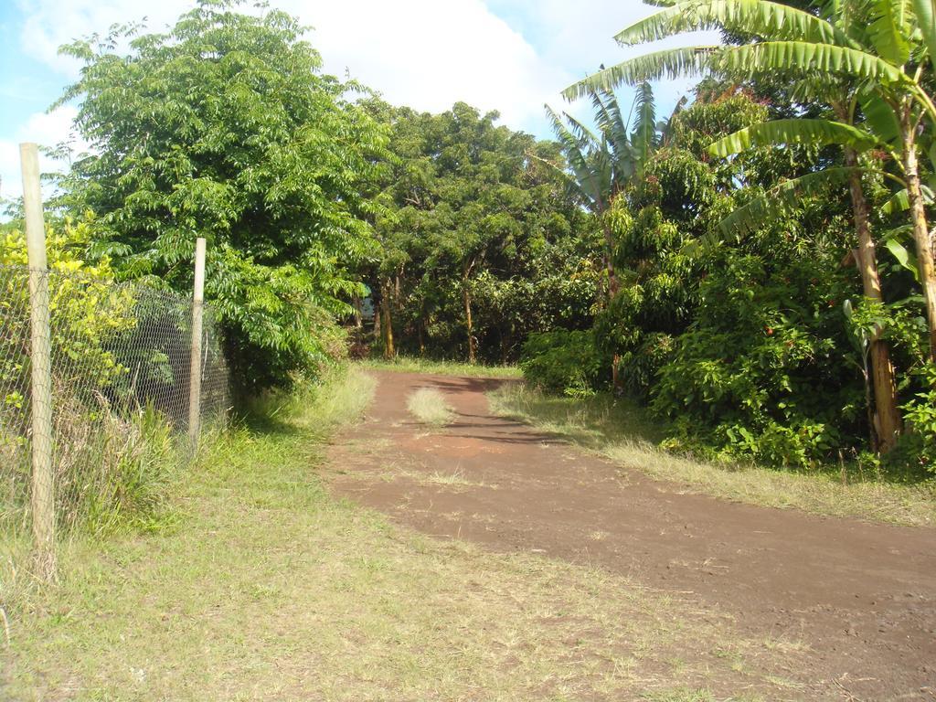 Cabanas Varua อังกาโรอา ห้อง รูปภาพ