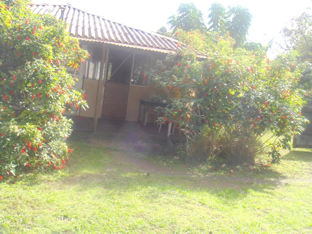 Cabanas Varua อังกาโรอา ห้อง รูปภาพ
