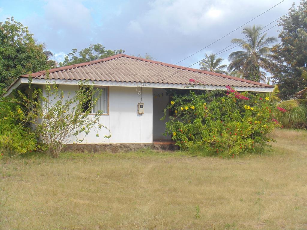 Cabanas Varua อังกาโรอา ห้อง รูปภาพ